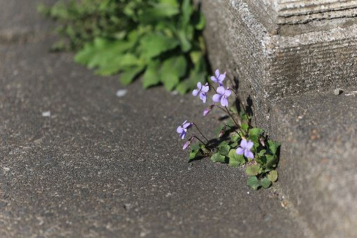 隙間の風景