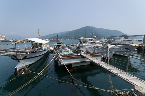 SIGMA 10-20mm F4-5.6 