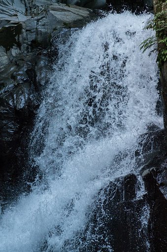 飛沫