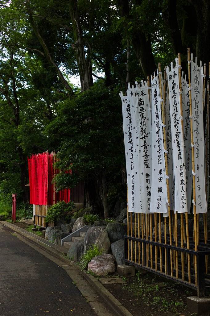SUMMICRON-M 35mm F2 ASPH