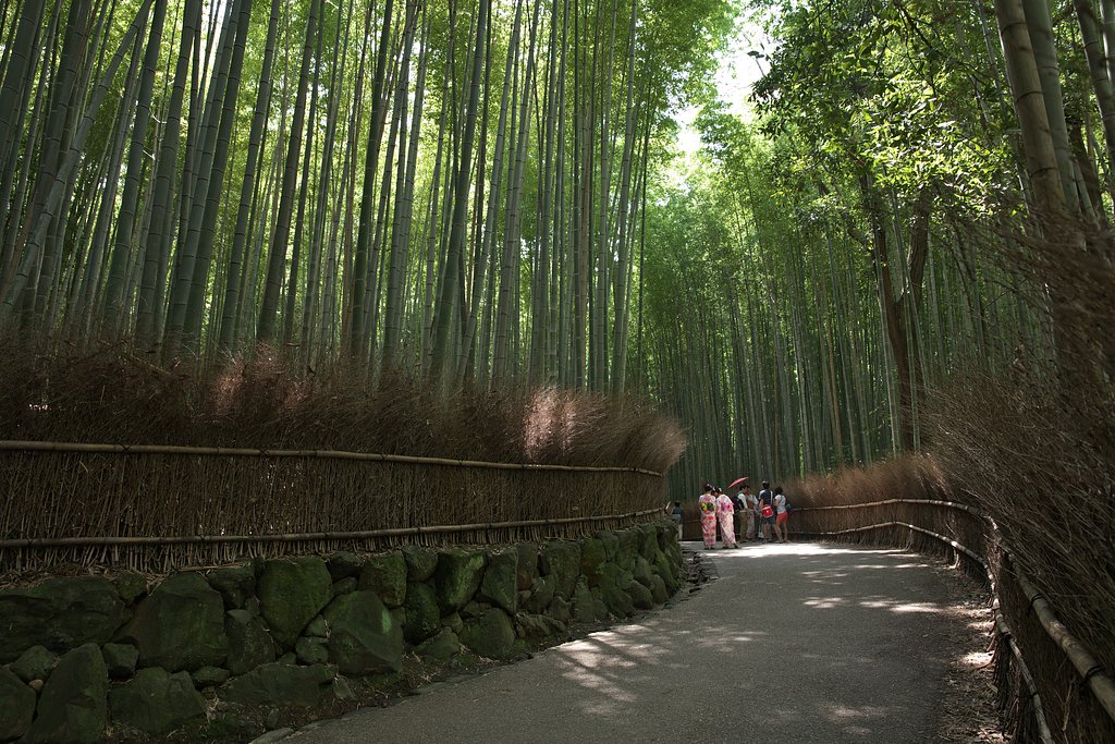 竹林にて