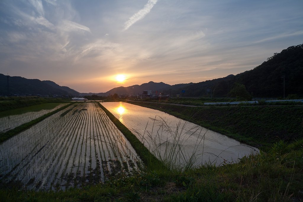 梅雨の晴れ間の夕!