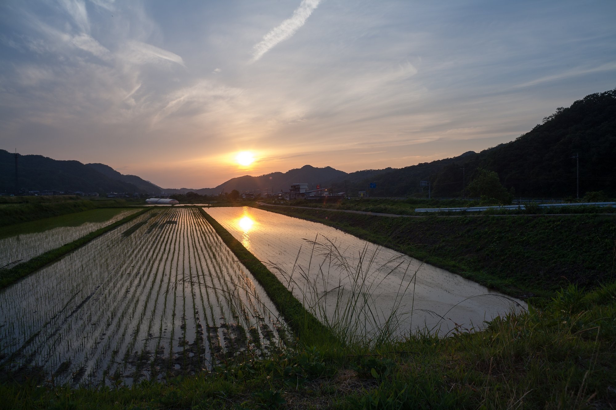 梅雨の晴れ間の夕!