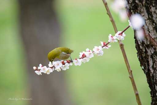 身軽♪