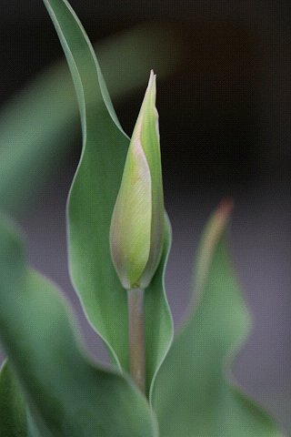 【出】やっと、ここまで