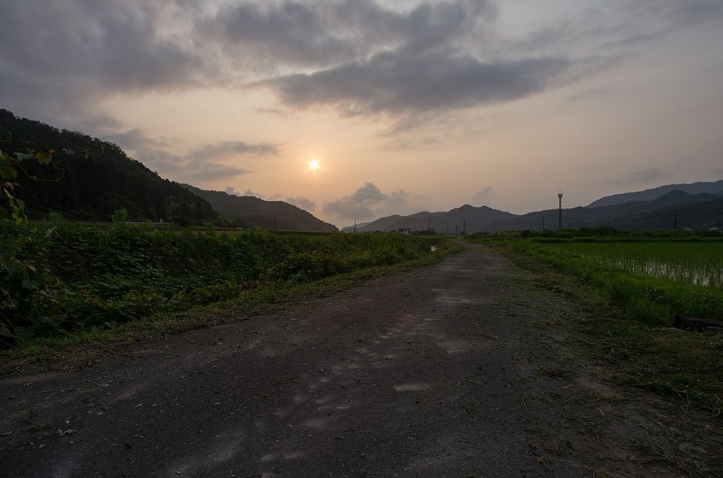 夕焼けに・・!