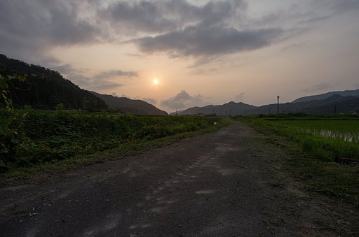 夕焼けに・・!