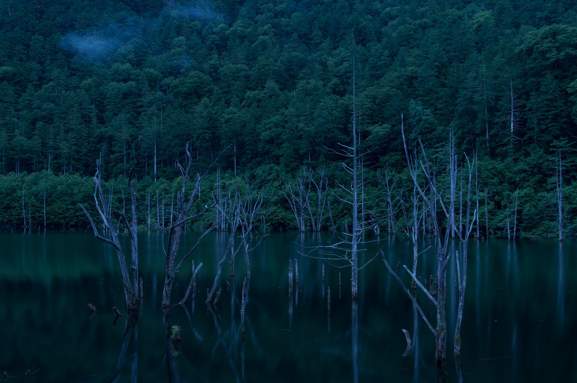 静寂の朝