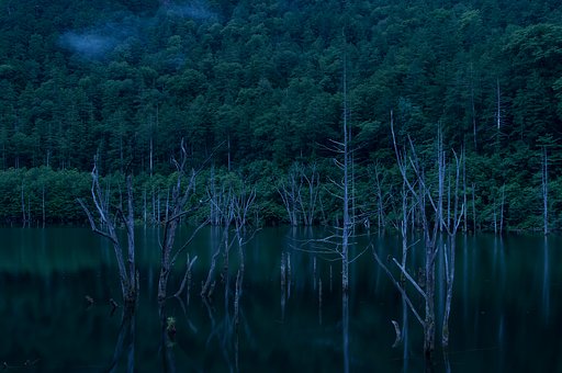 静寂の朝