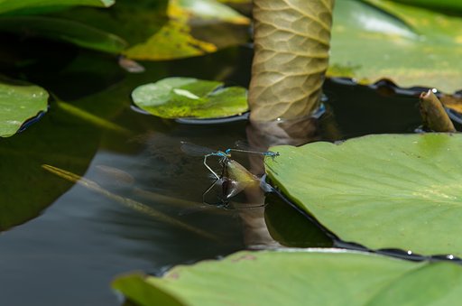 【フリー】継ぐ