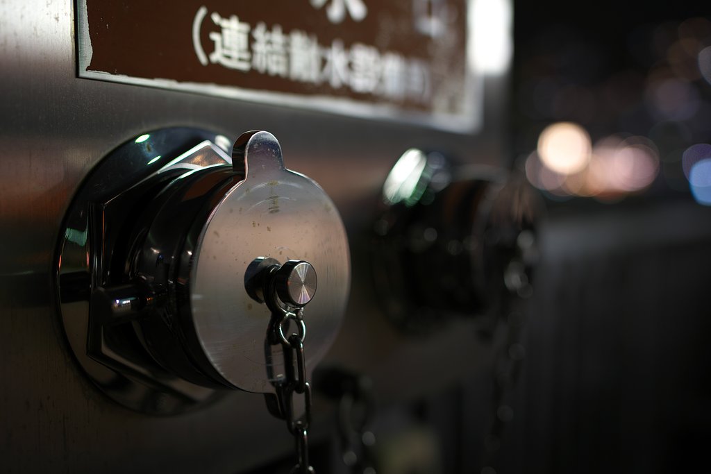 Distagon FE 35mm F1.4 ZA ②