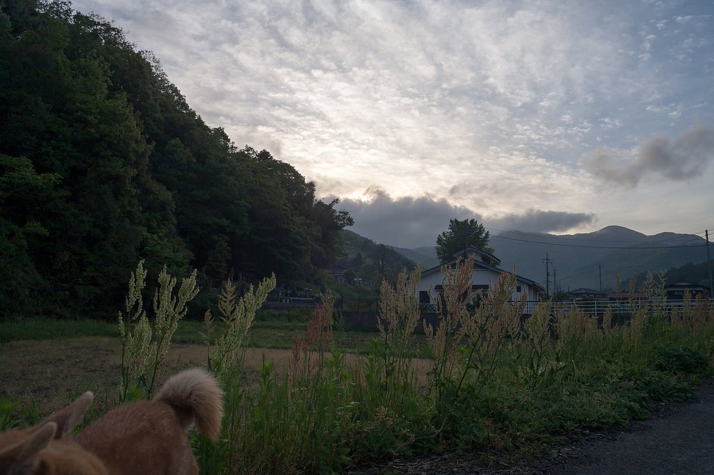 雲の多い朝。