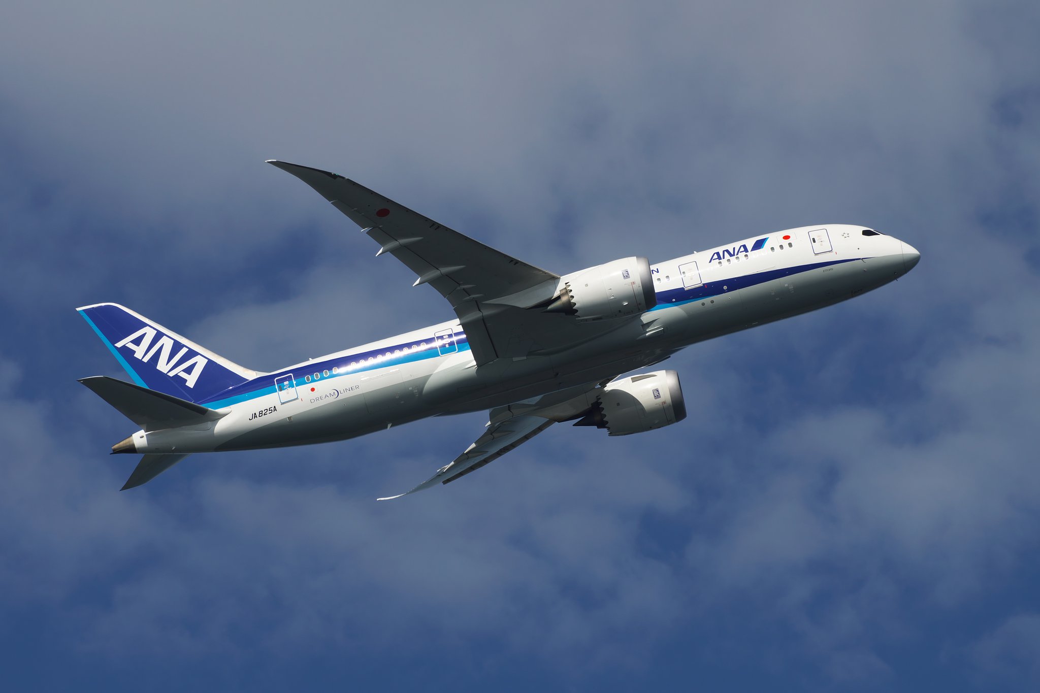B787(浮島公園から)