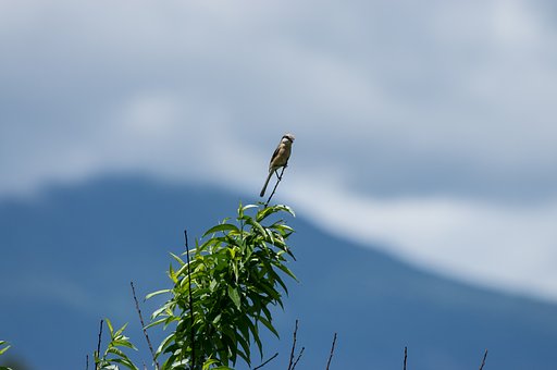 高原独り占め