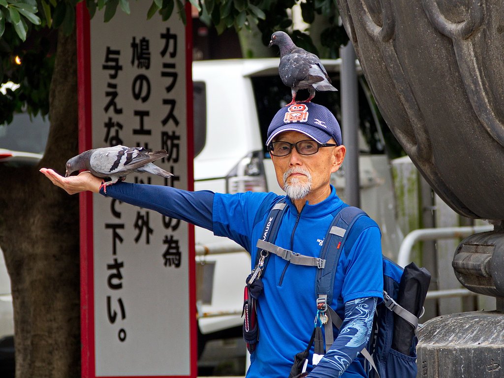 鳩爺