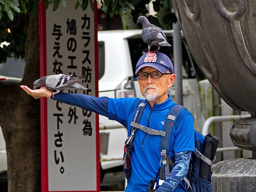鳩爺