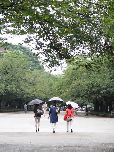 雨の公園