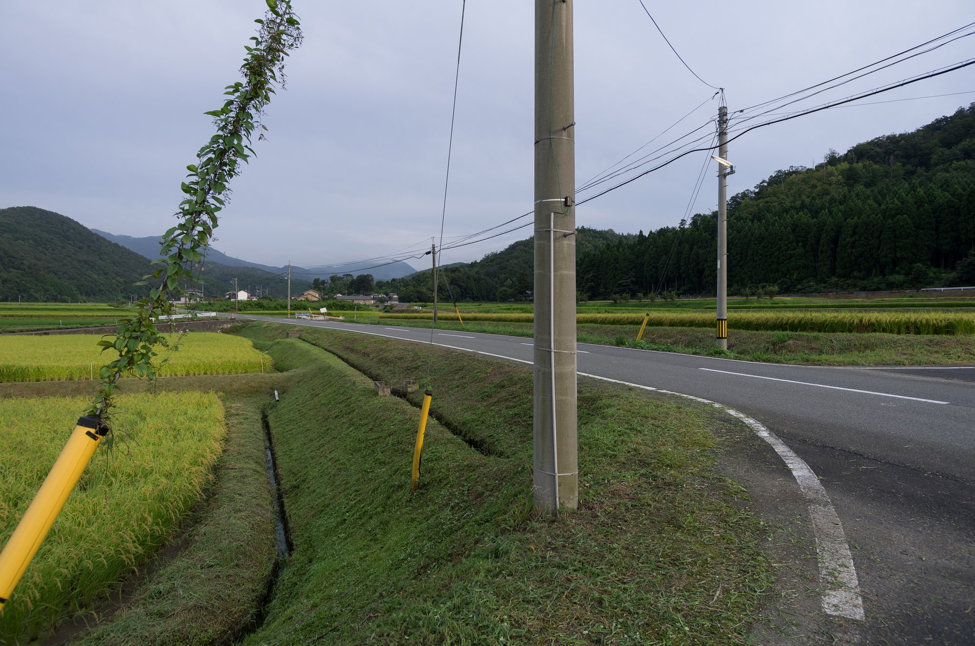 梨子木田最後の草刈。