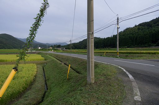 梨子木田最後の草刈。