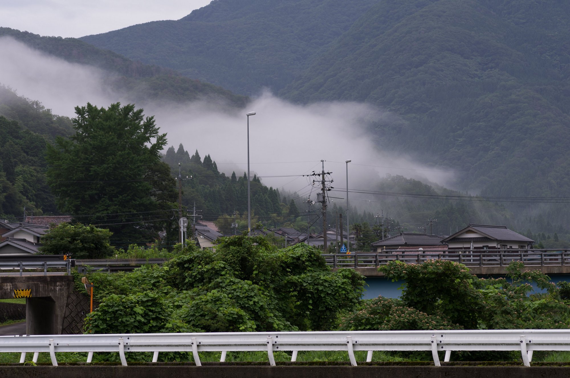 雨降り!
