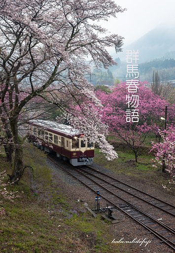 さくら物語