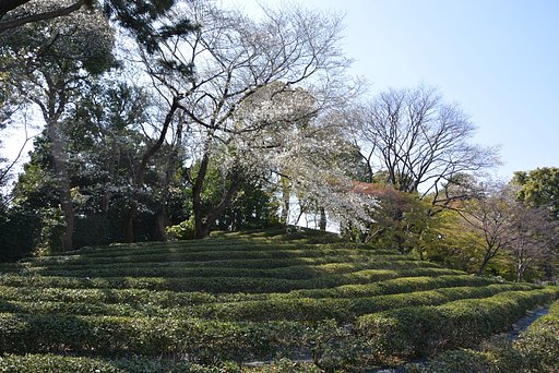 都心の風景