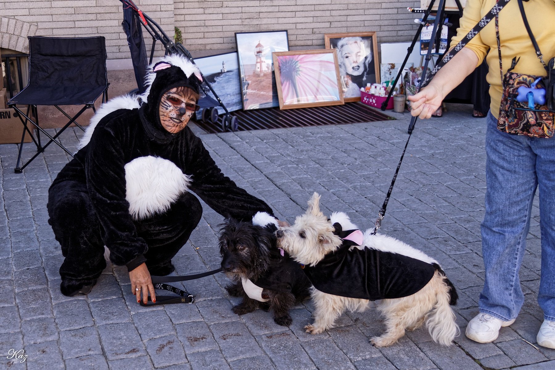 スカンク犬