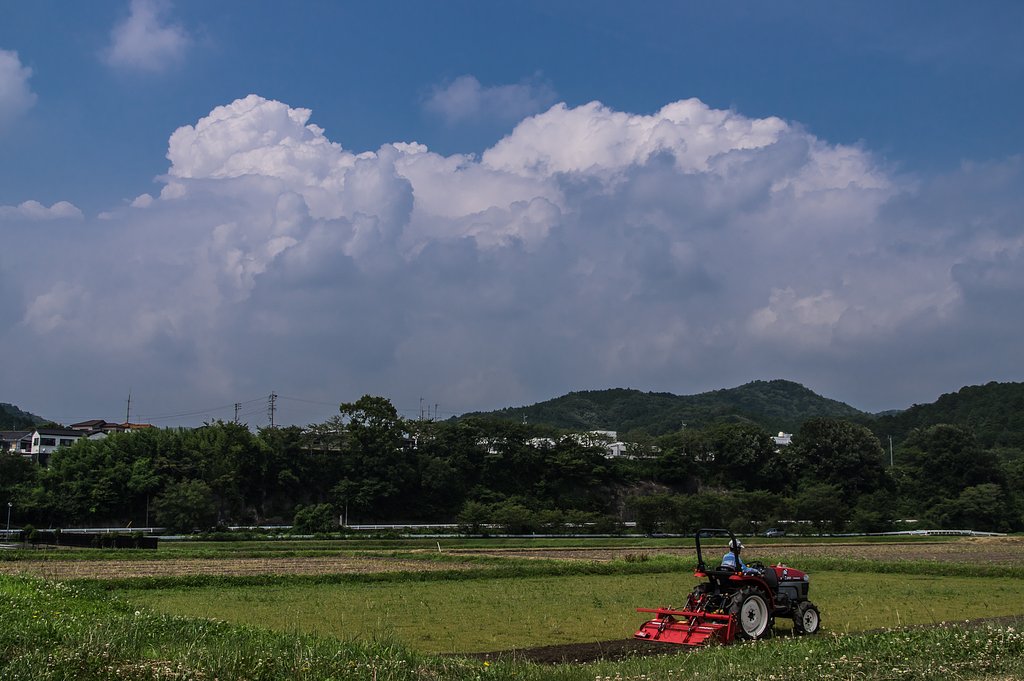 夏雲湧く（再投稿）