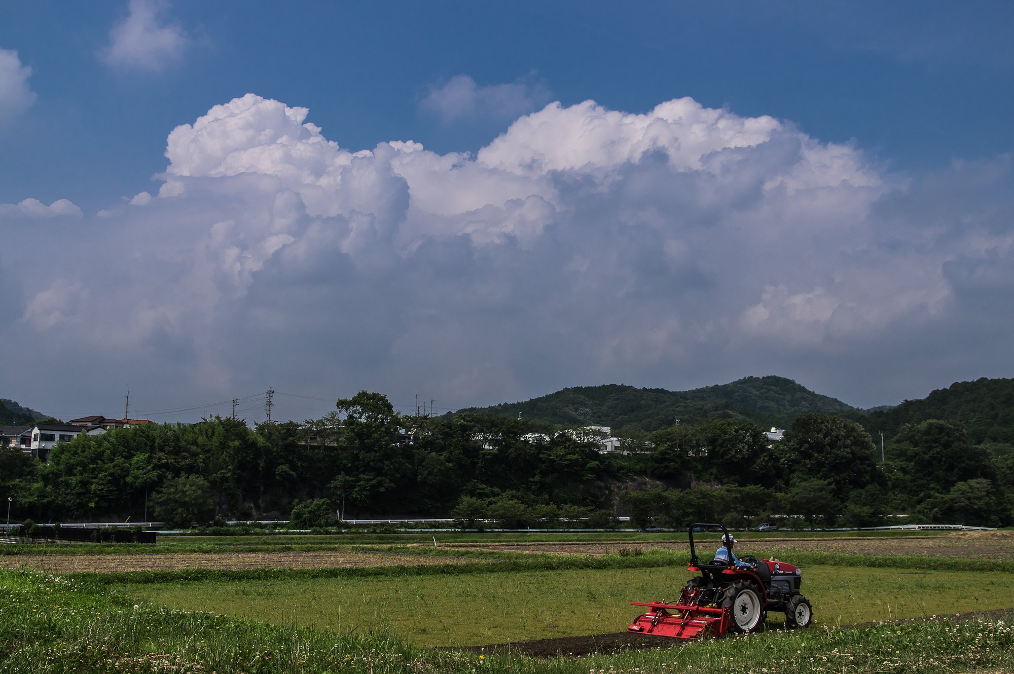 夏雲湧く（再投稿）