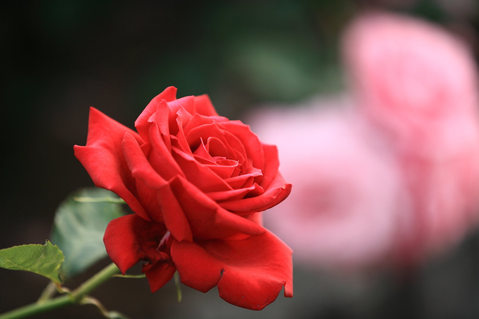 For you