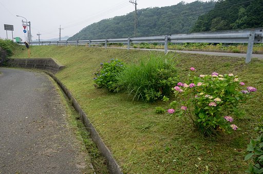 国道からの入り口付近草刈り。