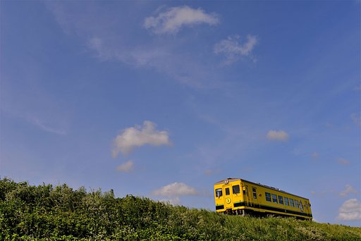 夏草香るローカル沿線