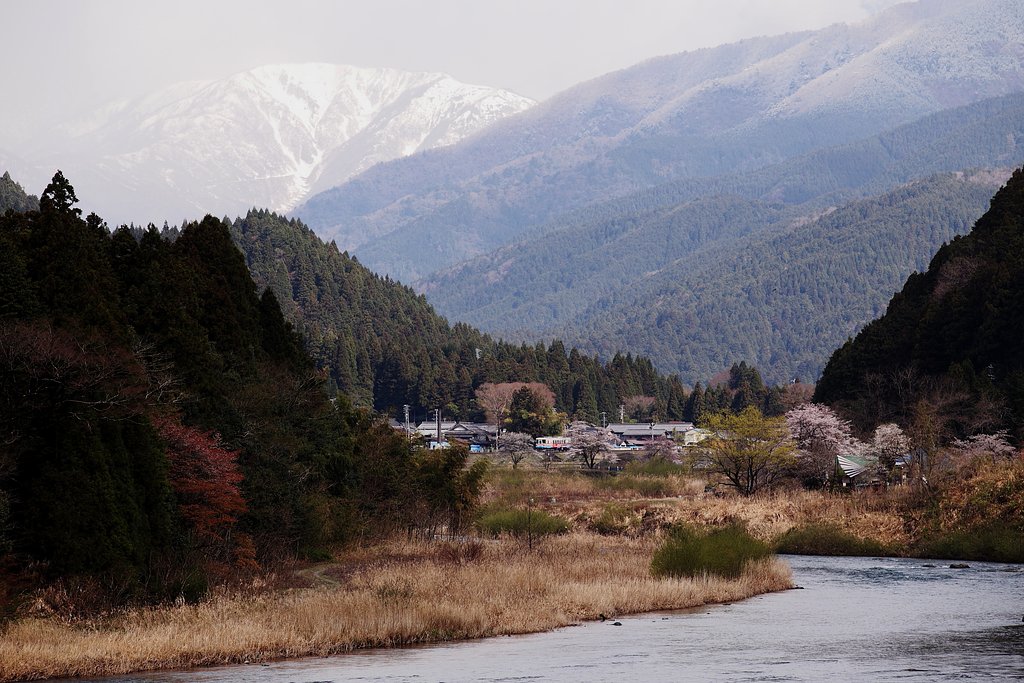 樽見鉄道遠望