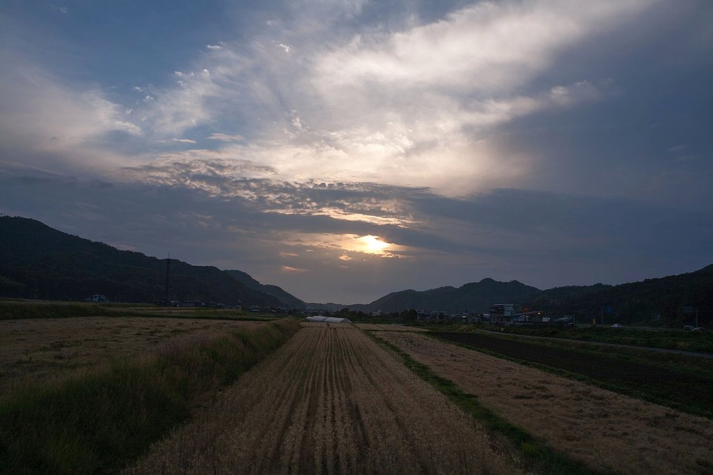 夕方晴れに・・。