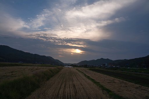 夕方晴れに・・。