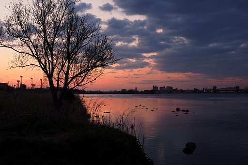 フォトコン板　お題一覧