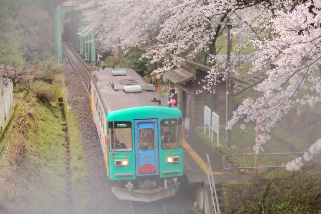 春の夢