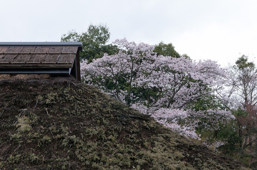 藁ぶき屋根