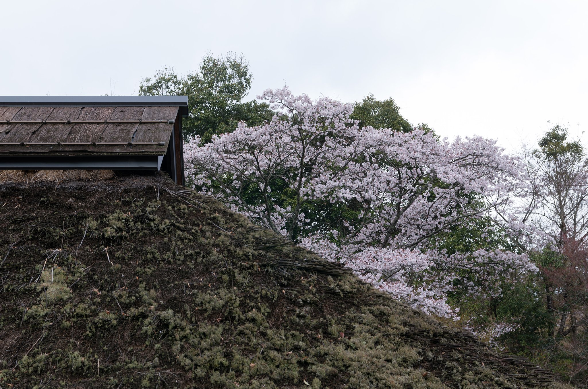 藁ぶき屋根