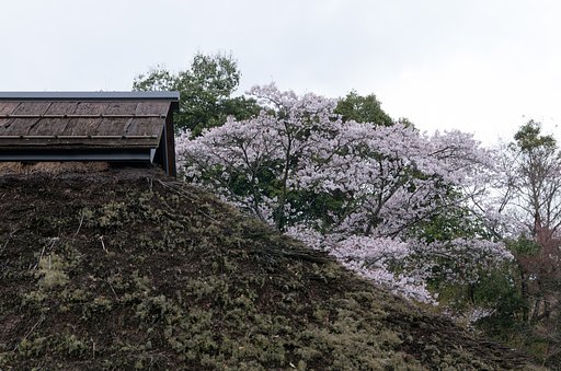 藁ぶき屋根