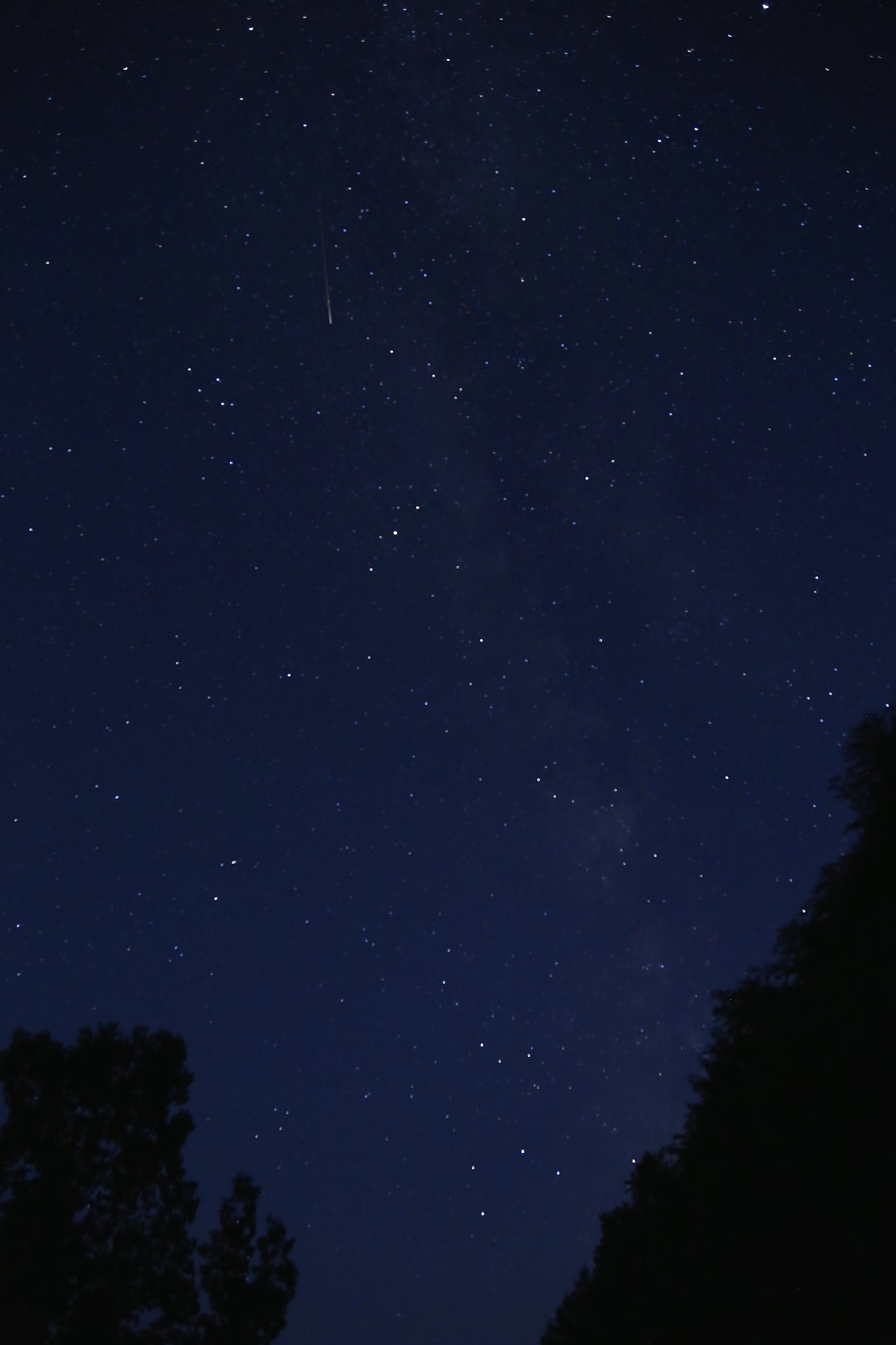 満天の星たち