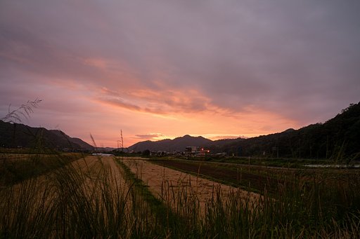 鮮やかな夕焼けに。