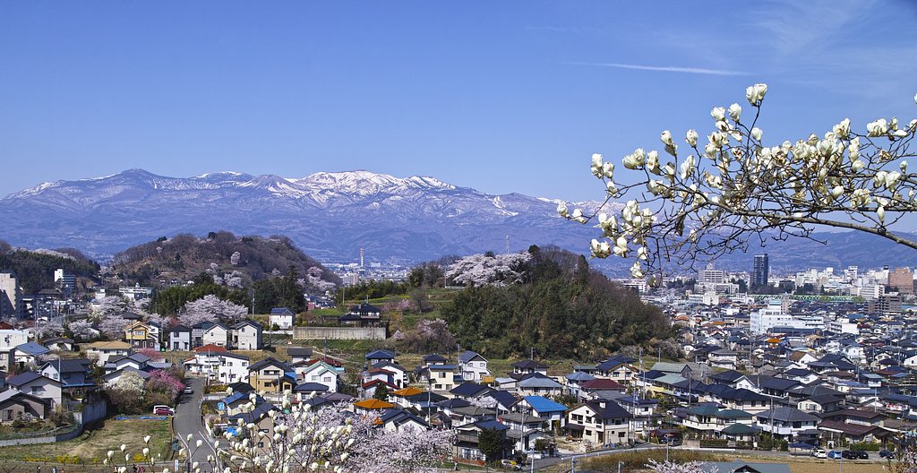 春　福島市