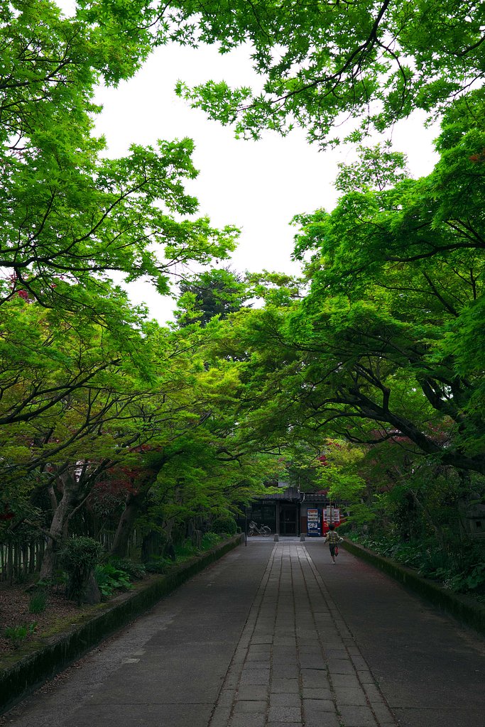 龍福寺