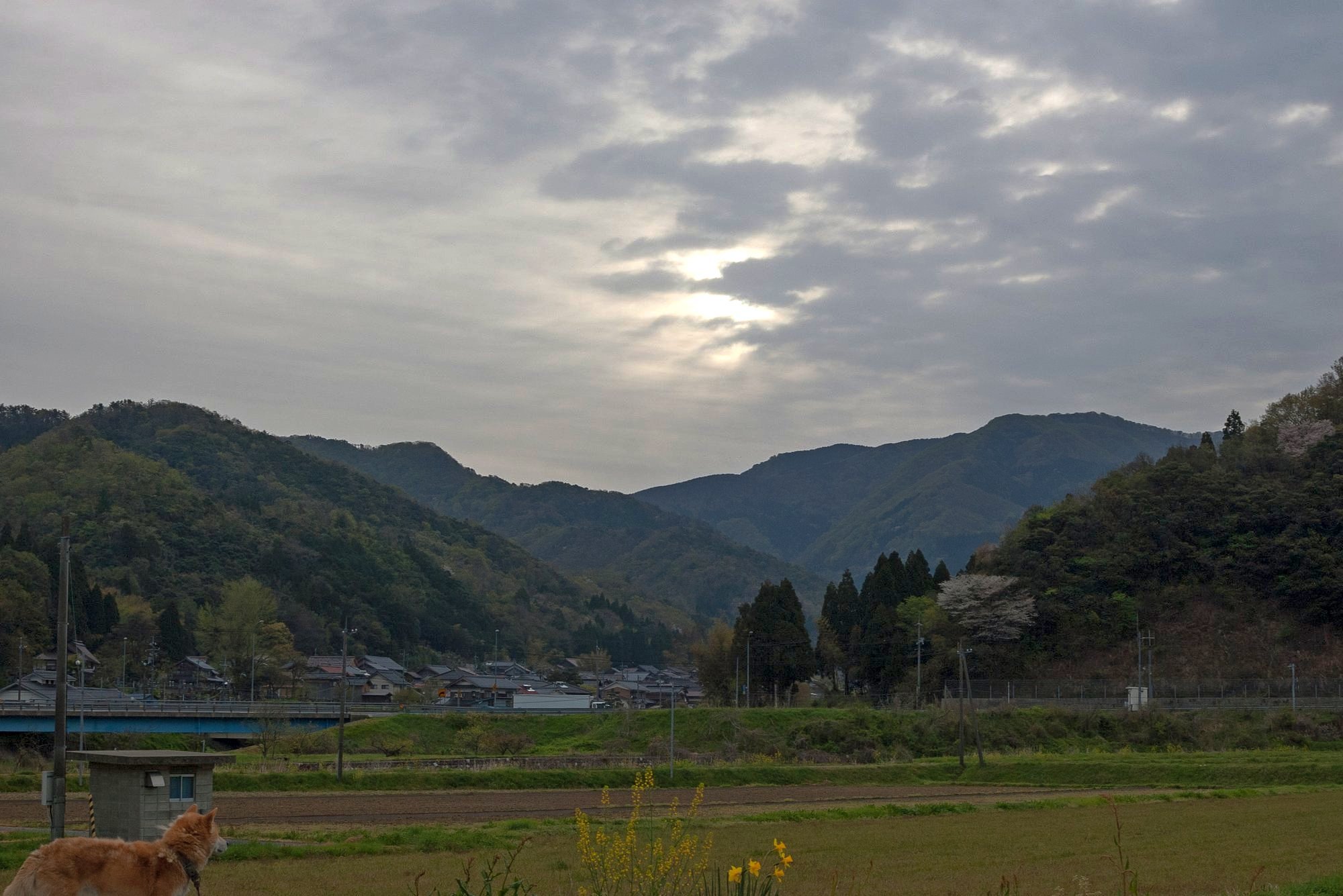 雲の多い春景色。