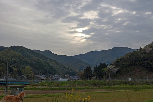 雲の多い春景色。