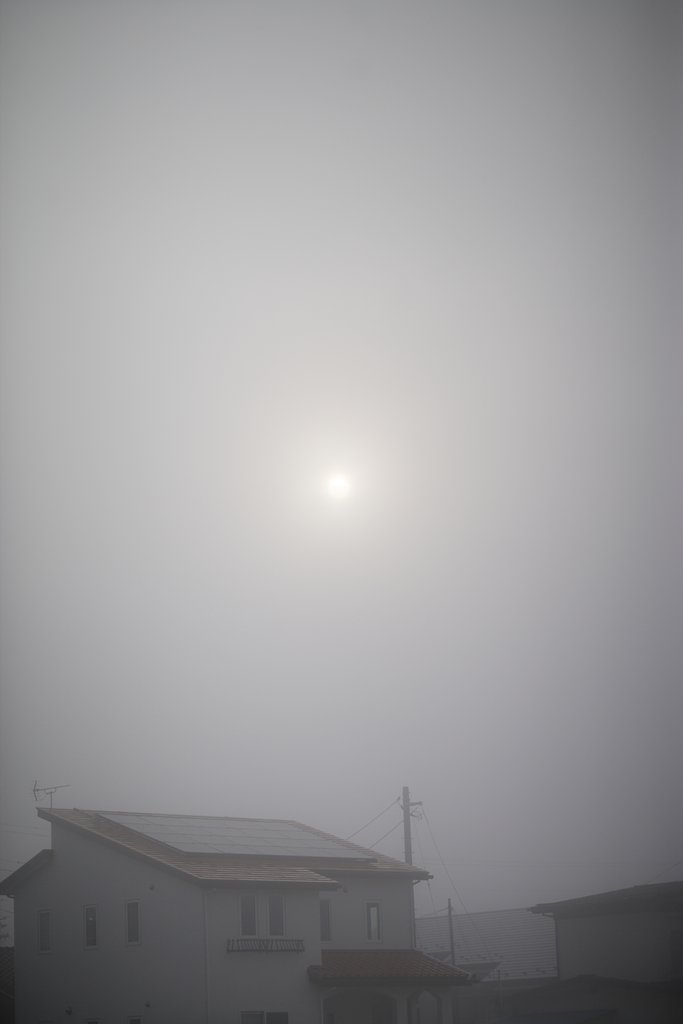 霧の朝