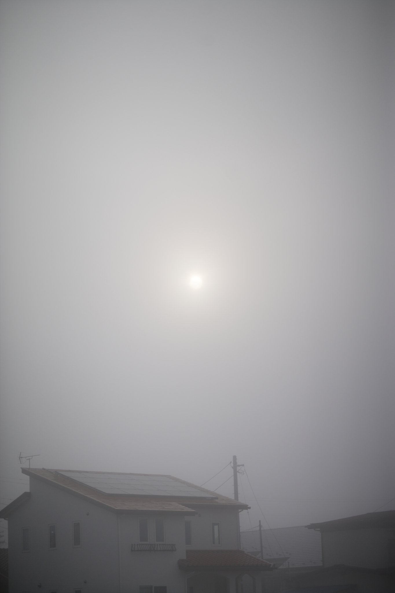 霧の朝
