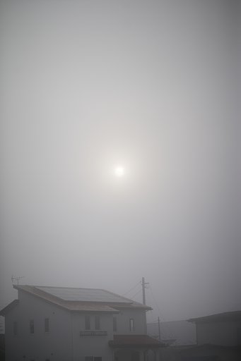 霧の朝
