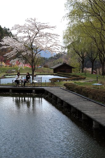 お喋りランチ